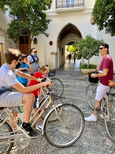 Sevilla Yarım Gün Şehrin En Iyi Anıtları Bisiklet Turu Bileti - 3