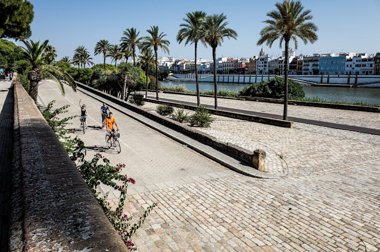 Sevilla Yarım Gün Şehrin En Iyi Anıtları Bisiklet Turu Bileti - 6