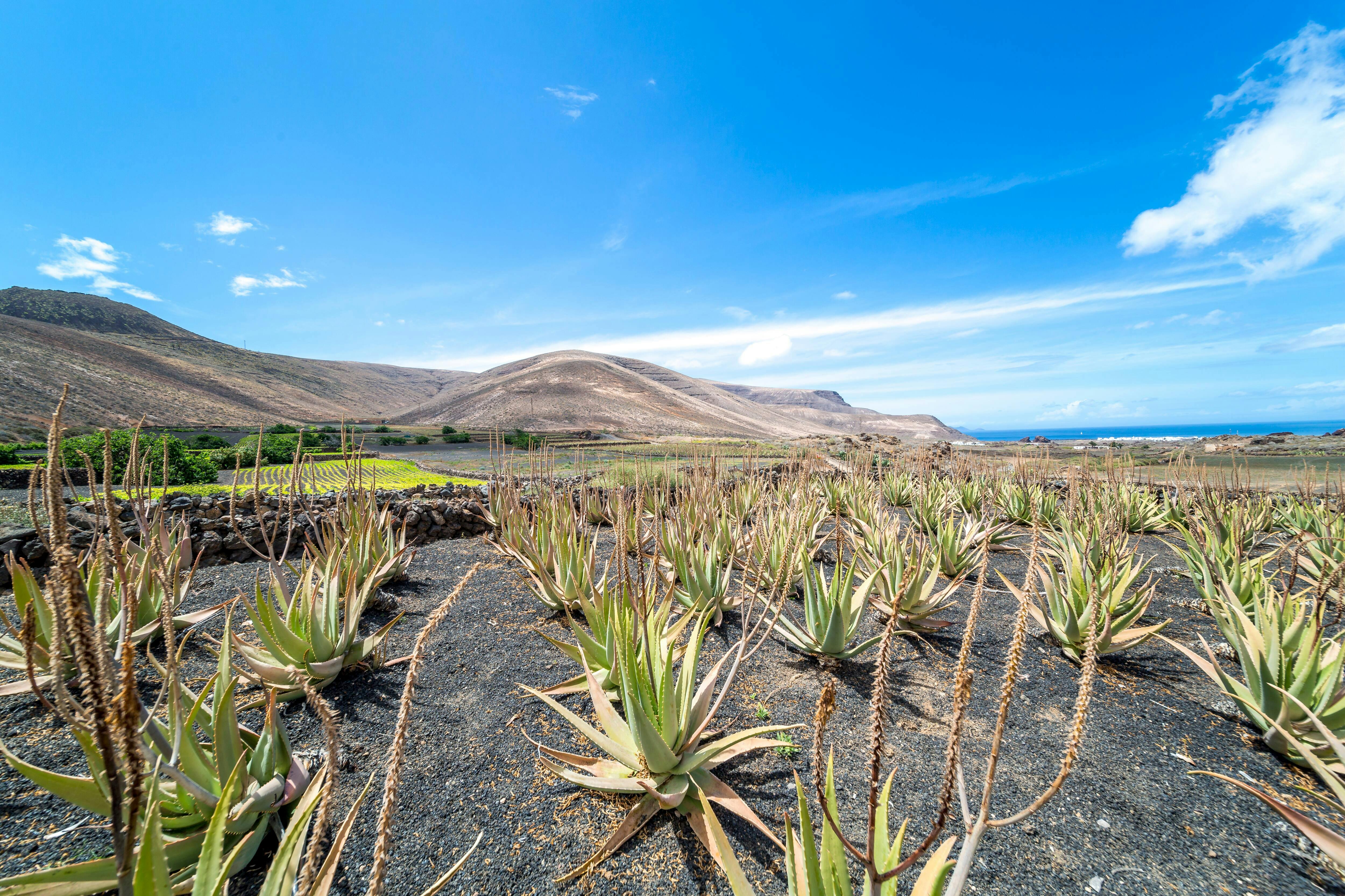 Lanzarote Volcano Tour