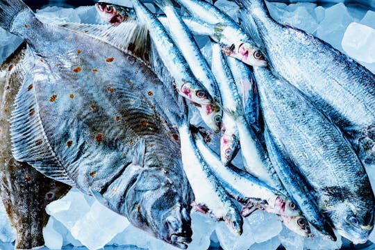 Kurs gotowania ryb w Norymberdze