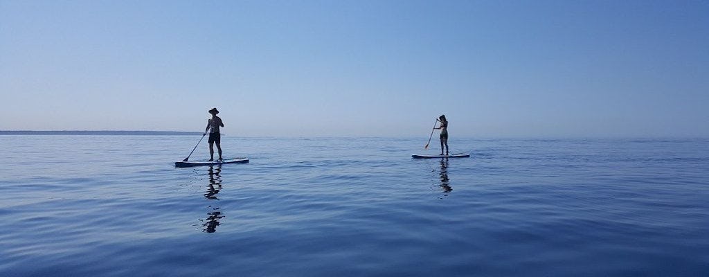 1-hour Stand up Paddleboard rental in Miami - 2 people