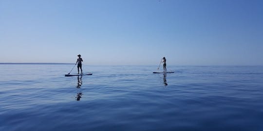 1-hour Stand up Paddleboard rental in Miami - 2 people