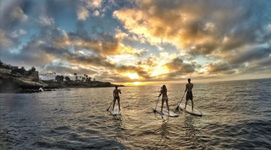 Ganztägiger Verleih von Softtop-Stand-Up-Paddle-Boards in Mission Bay