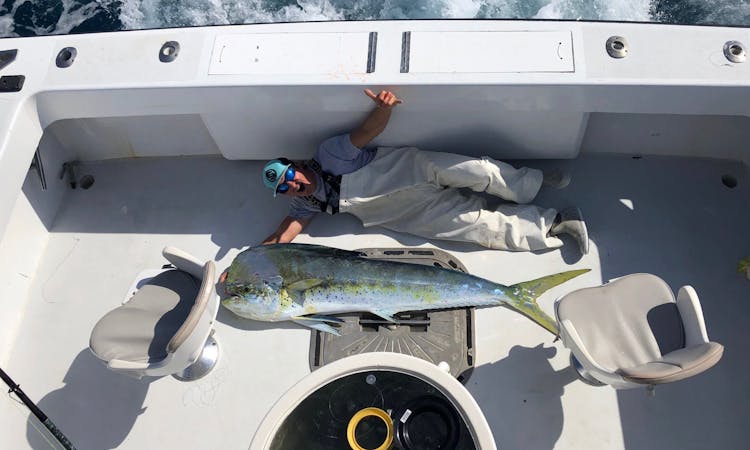 Full-day shared sportfishing charter in Hollywood