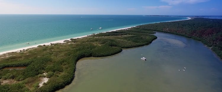 Four-hour kayaking and stand up paddleboarding experience in Clearwater