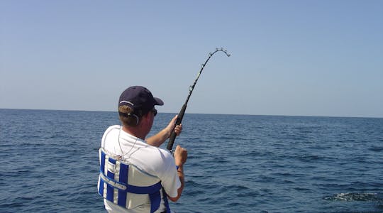 4-hour sportfishing charter in Hollywood