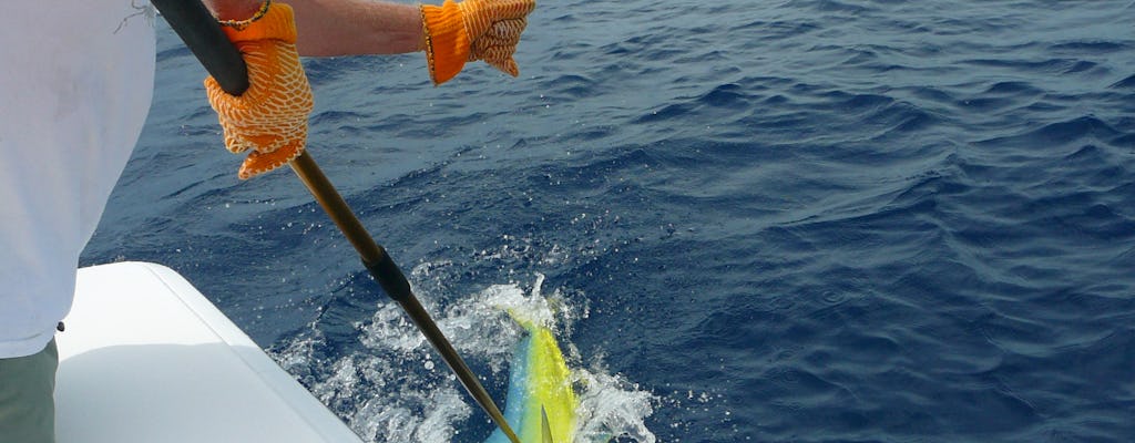 Carta de pesca deportiva privada de cuatro horas en Hollywood