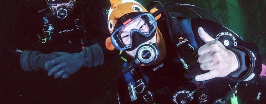 Visite guidée de la baie de Monterey avec deux plongées sous-marines