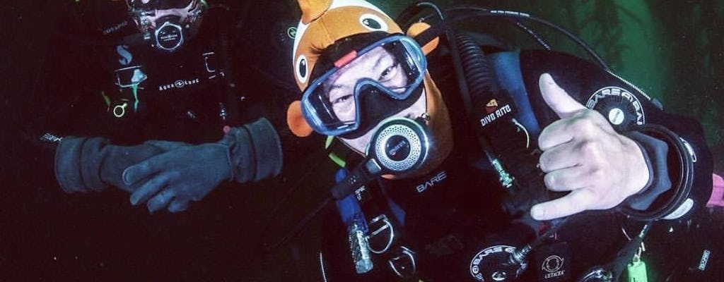 Tour guiado por la Bahía de Monterey con sesión de buceo