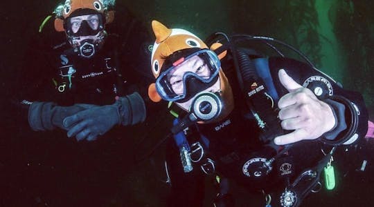 Tour guidato della baia di Monterey con due immersioni subacquee