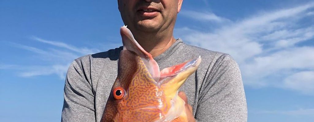 Fretamento de meio dia para pesca em alto mar em Clearwater