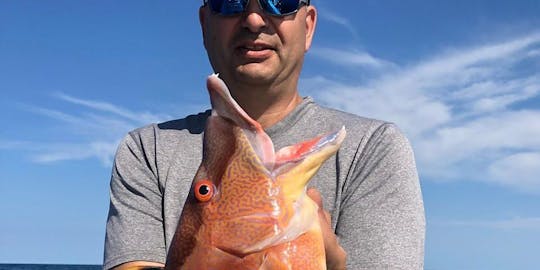 Carta de pesca en alta mar de medio día en Clearwater