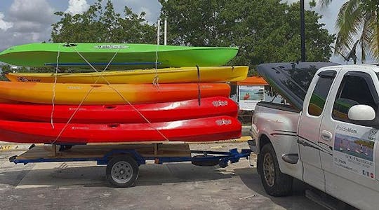 Wynajem kajaków lub desek wiosłowych w Miami z dostawą