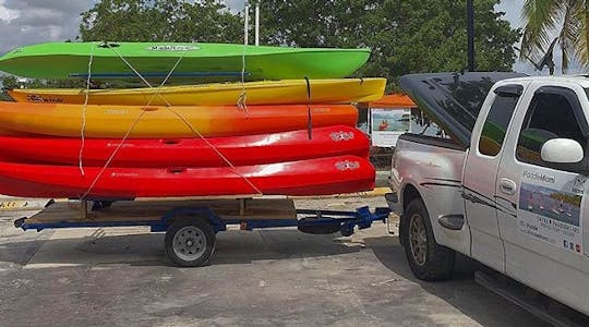Paddleboard or kayak rental in Miami