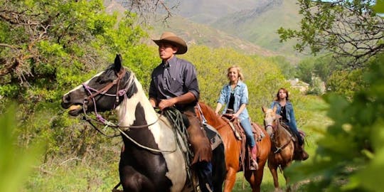 One-hour Western trail ride by horse in Salt Lake City