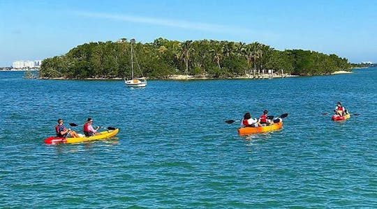 Miami paddling day-tour in Biscayne Bay Aquatic Preserve