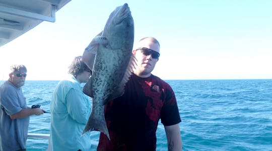8-hour private big game fishing experience in Hollywood