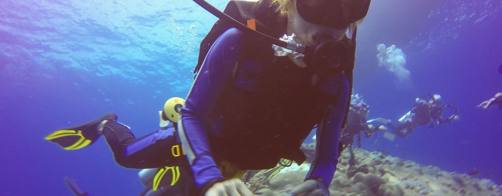 Scuba diving guided session in Monterey