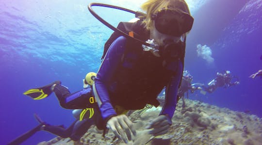 Plongée sous-marine à Monterey