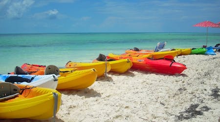 Location de kayak et de paddle de 2 heures dans la baie de Biscayne