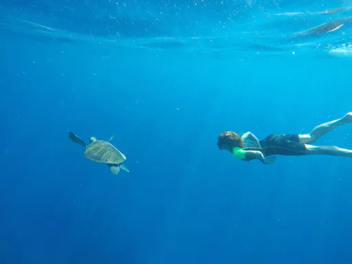 Tenerife Stand-up Paddle & Snorkelling Tour