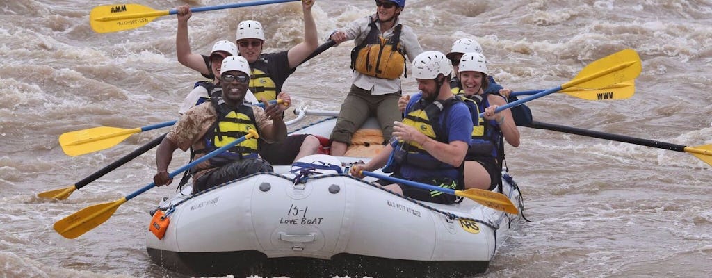 Tour de rafting de día completo en Moad en el río Colorado