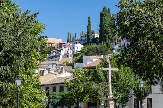 Tour guidato a piedi del Realejo di Granada