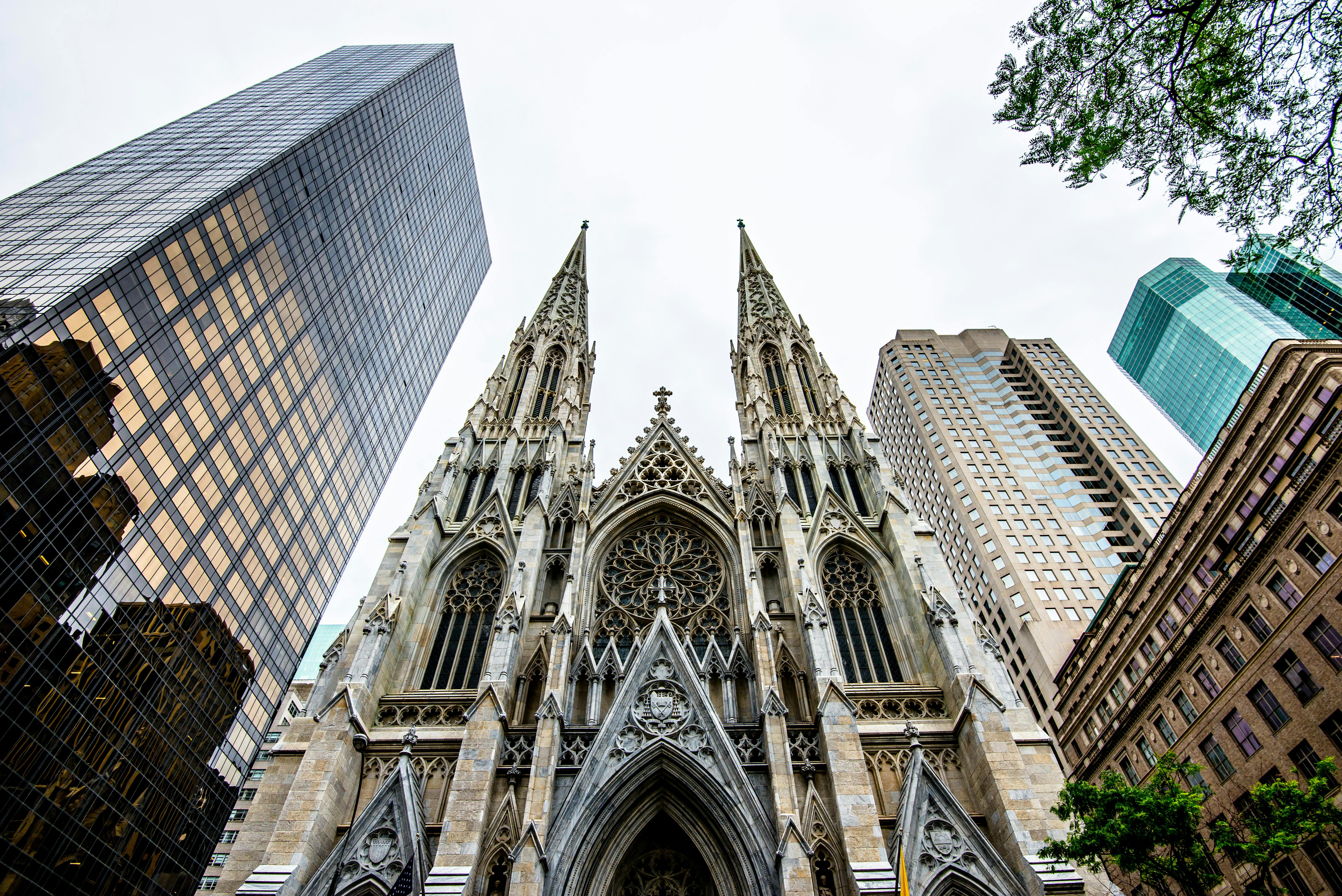 St. Patrick's Cathedral behind the scenes VIP official guided tour Musement