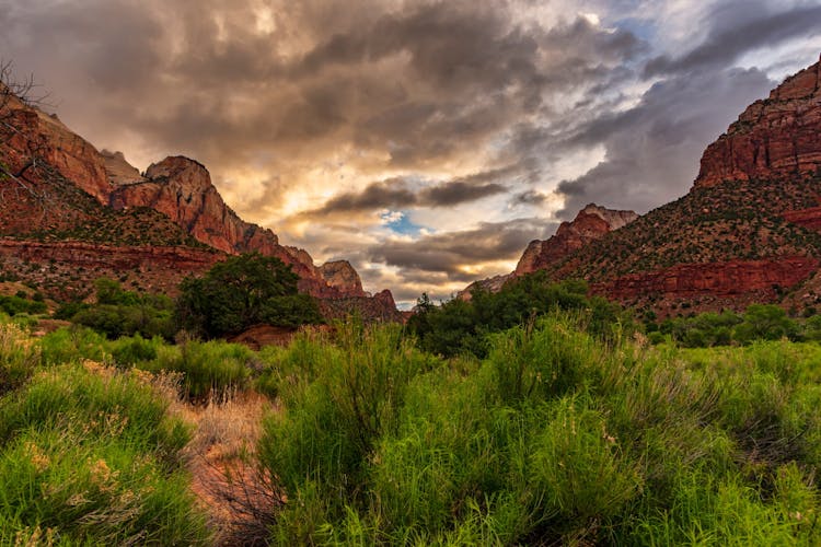 Zion National Park self-driving audio tour