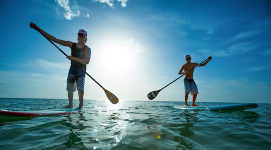 Location de stand-up paddle à Miami Beach d'une heure