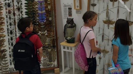 Eintritt in das Museum Harrell House of Natural Oddities in Santa Fe
