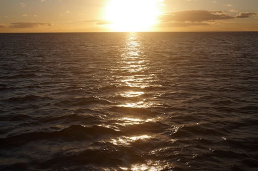 2021120161a7bbfd64f42.jpeg