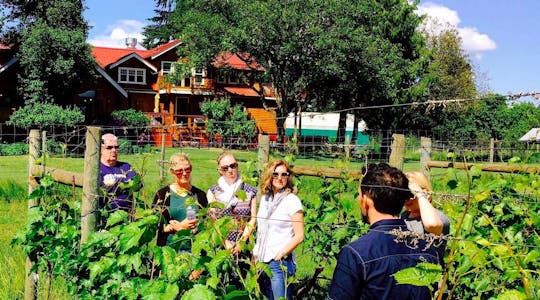 Cowichan Valley Weintour ab Victoria