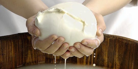 Kurs zur Herstellung von Mozzarella-Käse in Aurora