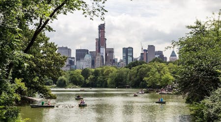 Visite guidée à pied de Central Park et de l’Upper East Side à New York
