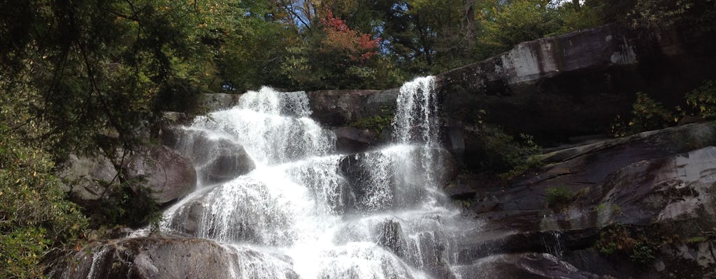 Oude groei waterval wandeling avontuur