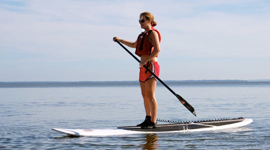 Stand-up paddleboardles in San Diego
