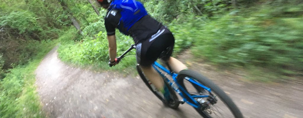 Tour de medio día en bicicleta con molinillo de grava en Asheville