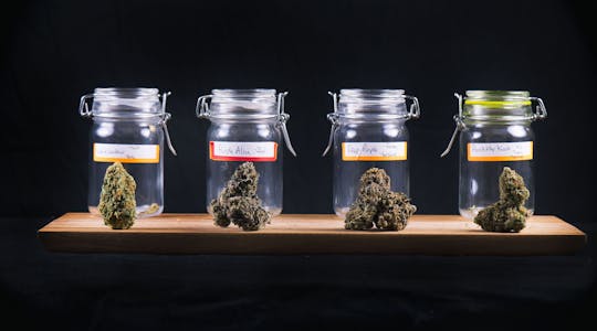 Tour della cannabis a Hollywood