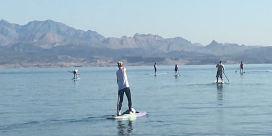 Island Stand Up Paddleboard Experience