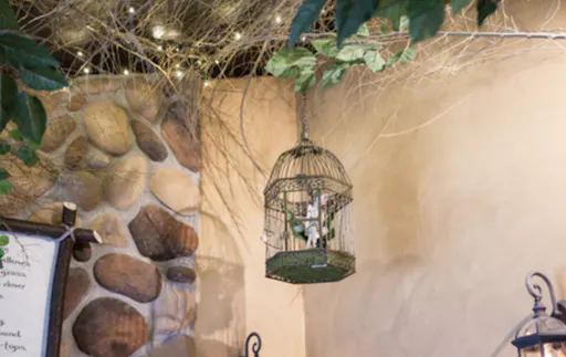 peek-P45Wr7ZHR2K3SS6jMPUo