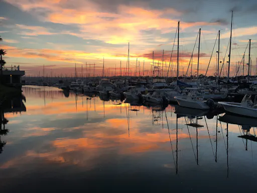 peek-olQkusnzQaG2snLZrtGH