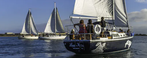 peek-J8YSyA8XSjOkY4A5jdta