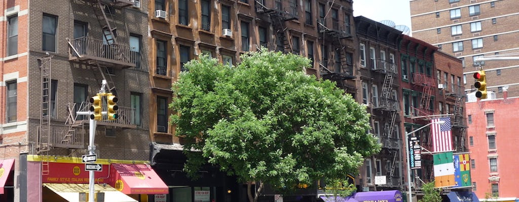 Tour guiado pelo Upper East Side na cidade de Nova York