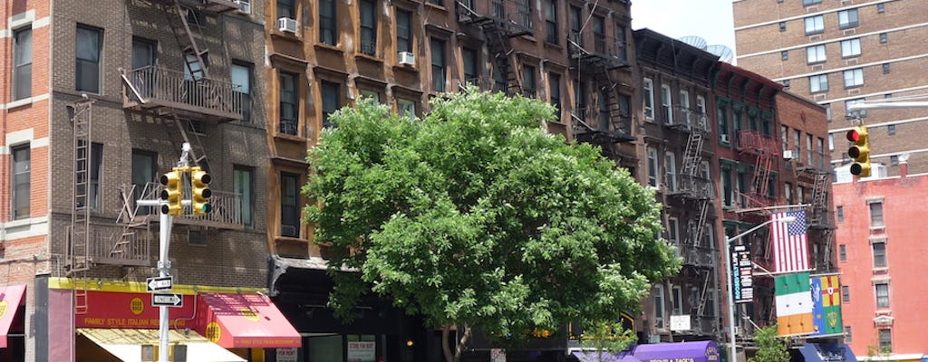 Begeleide wandeling door Upper East Side in New York City