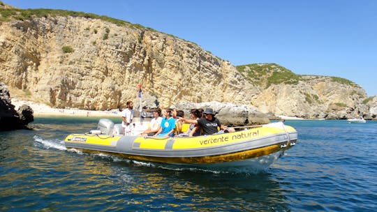 Arrábida coves boat tour