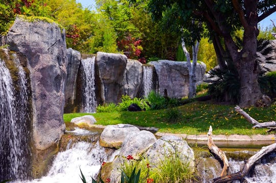 Balboa Park walking audio tour in San Diego