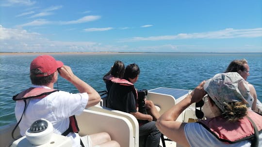 Birdwatching a Ria Formosa tour in barca ecosostenibile