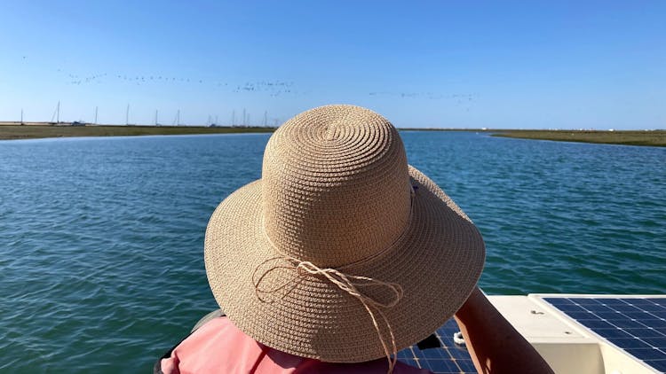 Birdwatching in Ria Formosa eco-friendly boat tour