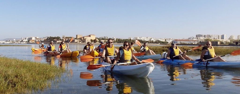 Tour guidato in kayak di Ria Formosa da Faro